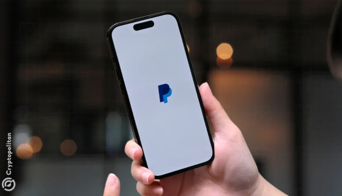 Paypal plans to introduce payment financing (PayFi) for small businesses