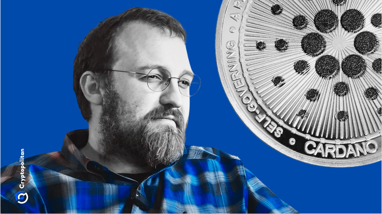 Charles Hoskinson says Cardano treasury won’t cover listing fees for SNEK or Midnight