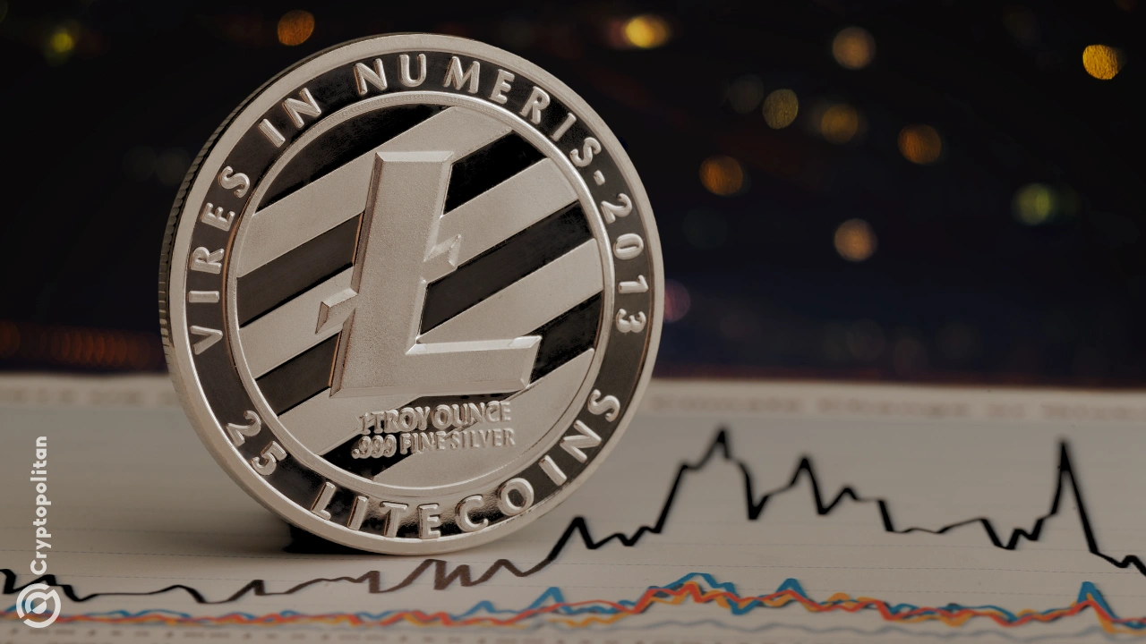 MEI Pharma’s Litecoin treasury purchase sets off LTC rally