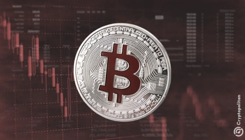 99.3% of Bitcoin supply in profit could trigger short-term dip