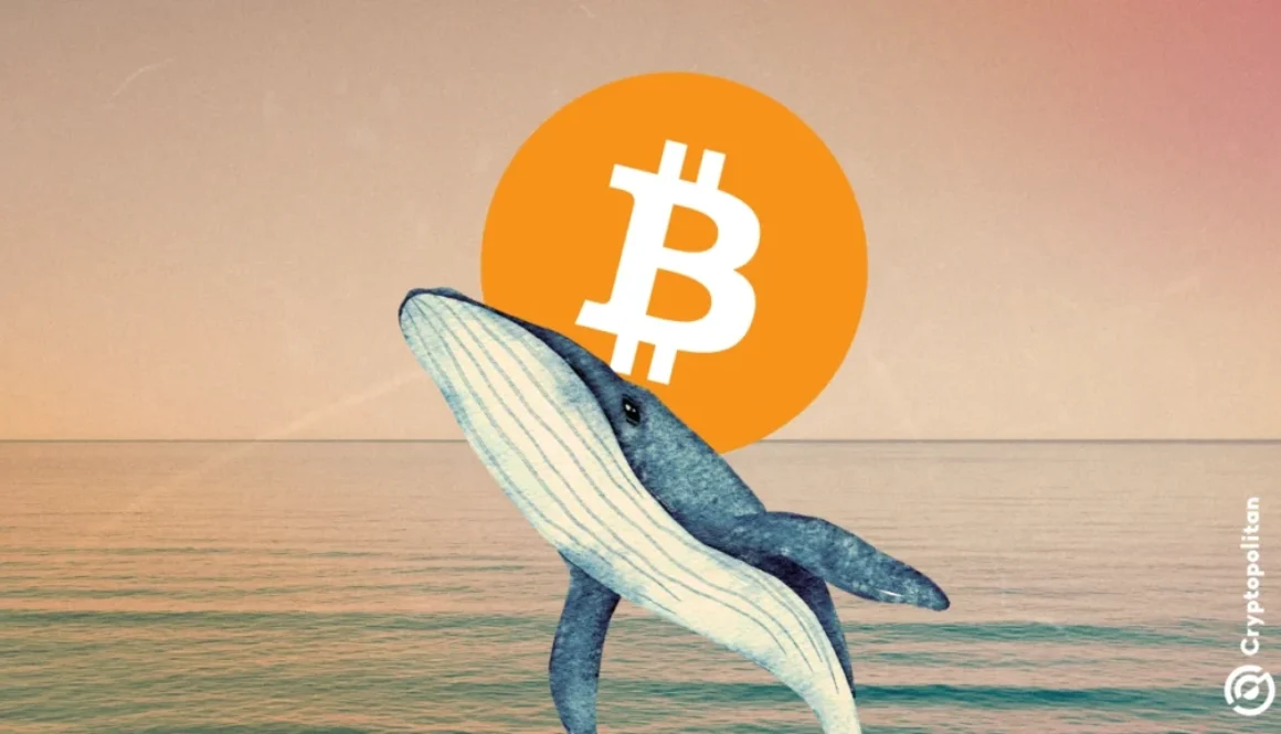 Bitcoin mining difficulty dips in first 2026 adjustment