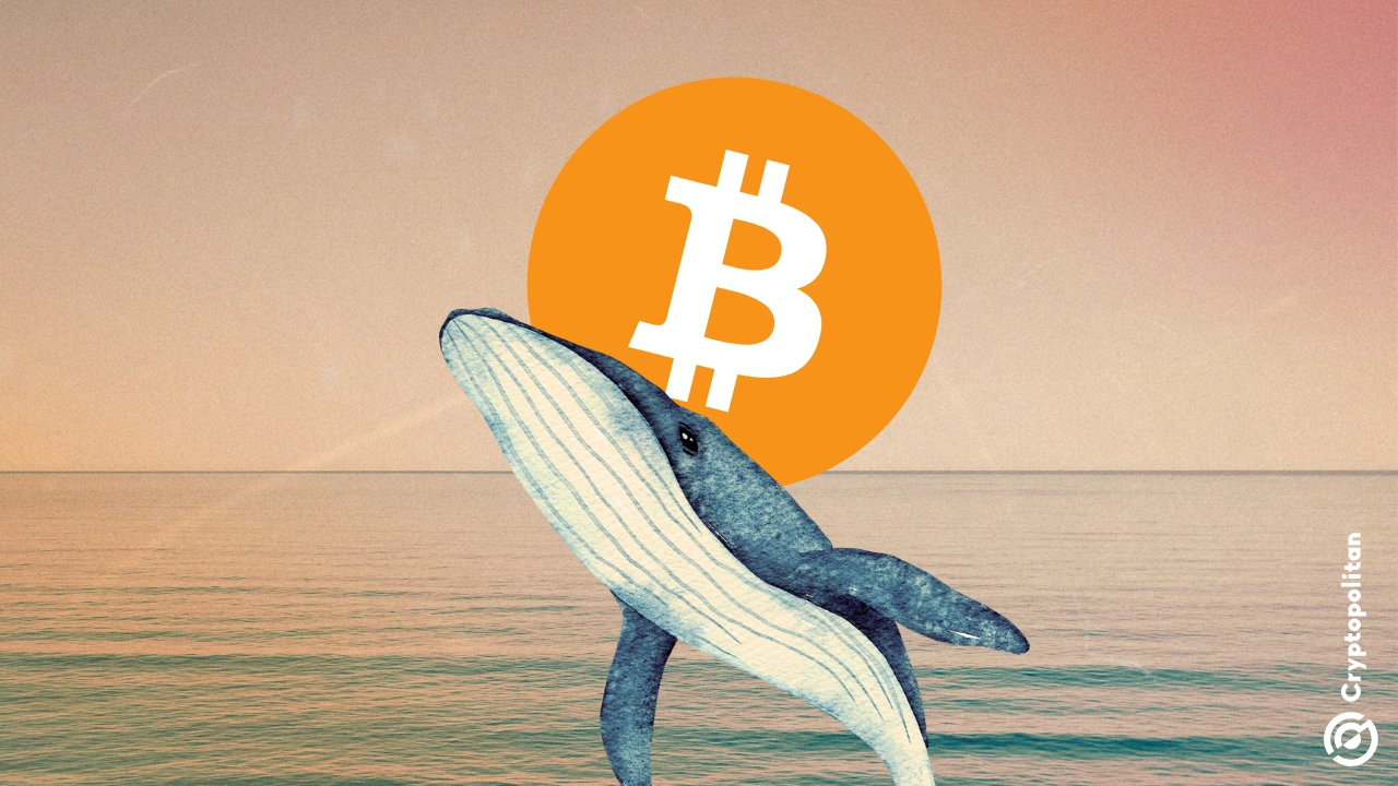 Bitcoin mining difficulty dips in first 2026 adjustment