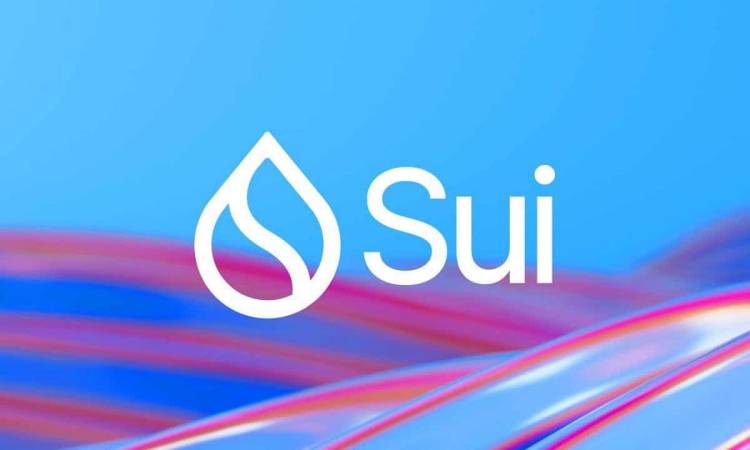 SUI At The Smart Money Zone: Big Moves Brewing Above 