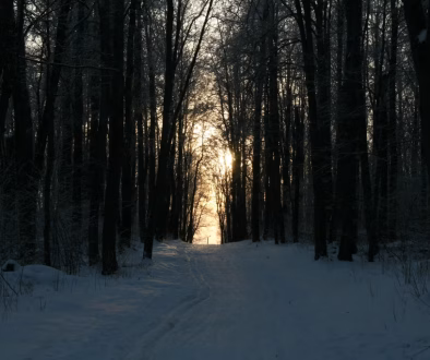 Bitcoin Faces Familiar Crossroads As Midterm Cycle Turns Bearish: Analyst