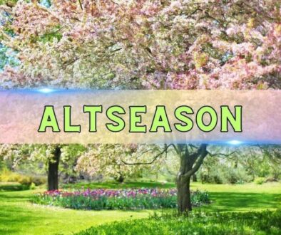 Three Macro Signals Align for Altcoins: But Is It Alt Season?