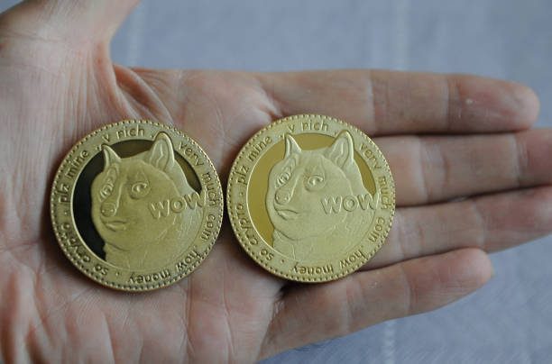 How To Time The Dogecoin Bottom And When The Price Will Reach 