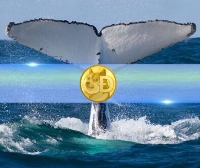 Dogecoin (DOGE) Whales Quietly Accumulate as Holdings Hit Record Levels