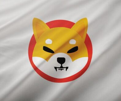 Shiba Inu OI Crashes Over 30%, SHIB Burns Grind To A Halt; Is This The End?