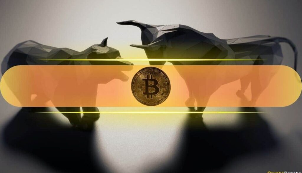 Analyst: BTC’s 50% Drop Could Be Setting Up a 2017-Style Altcoin Rally