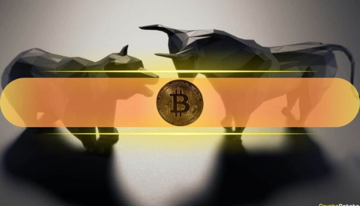 Analyst: BTC’s 50% Drop Could Be Setting Up a 2017-Style Altcoin Rally