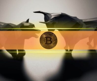 Analyst: BTC’s 50% Drop Could Be Setting Up a 2017-Style Altcoin Rally