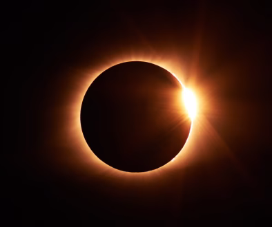 Bitcoin Critic Peter Schiff Predicts USDT Will Eclipse BTC