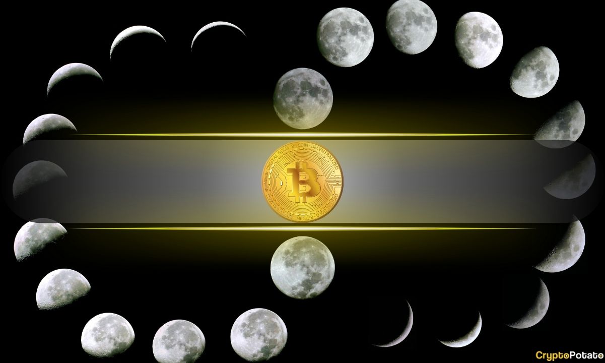 Bitcoin Records Worst June in Four Years – Is a Cyclical Bottom in Play?