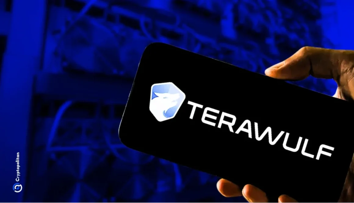 Why's Terawulf stock surging today?
