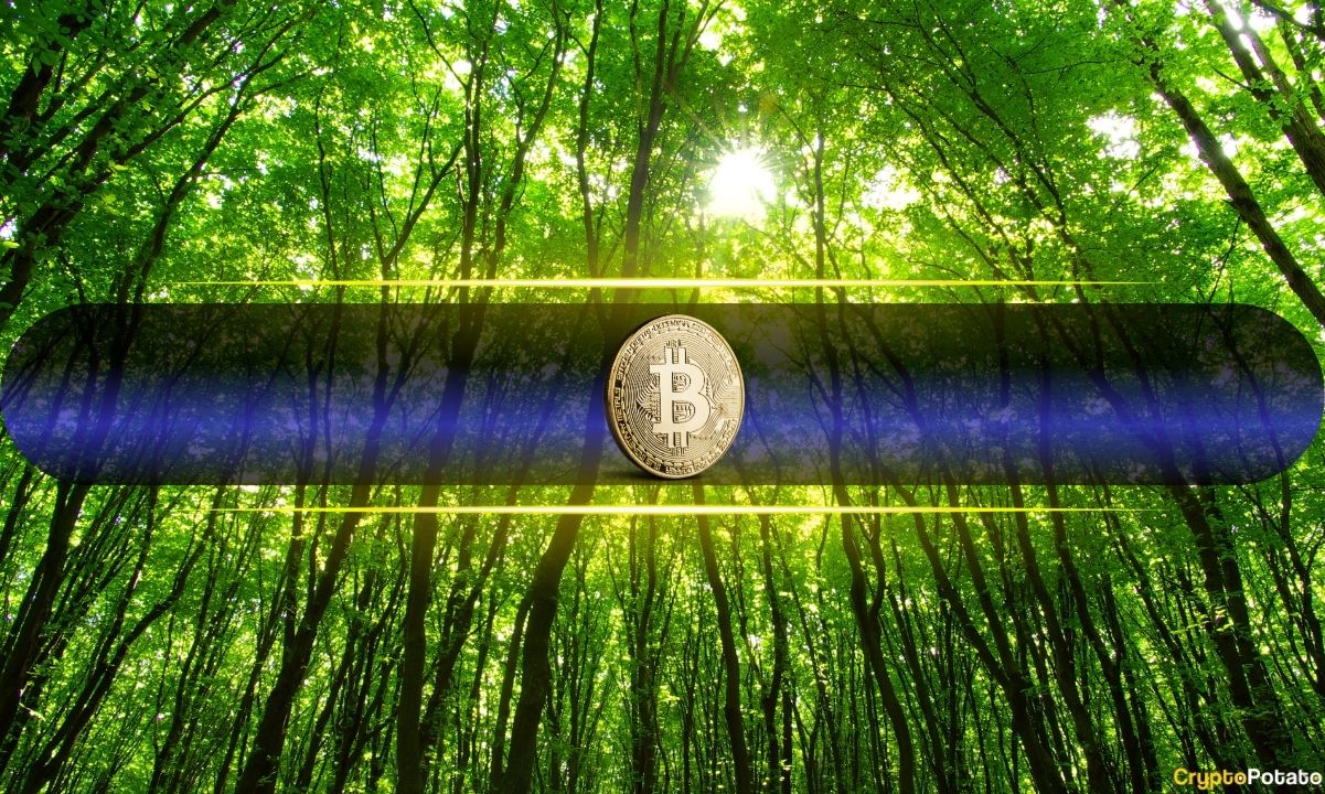 Why Did the Bitcoin Price Suddenly Spike Toward K?