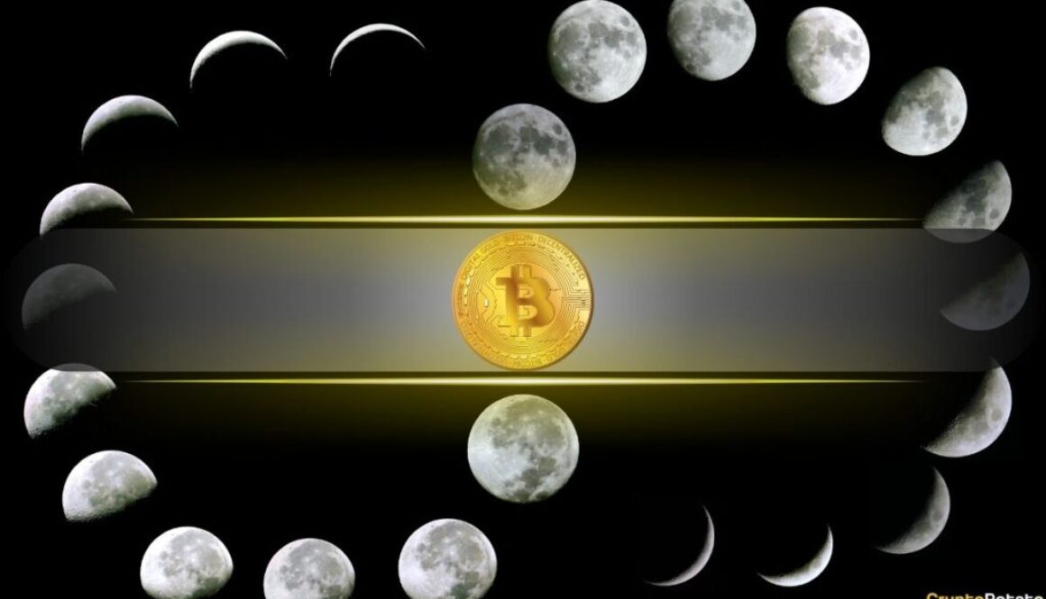 Bitcoin’s 4-Year Cycle Could Be Changing: Willy Woo Reveals What Could Replace It