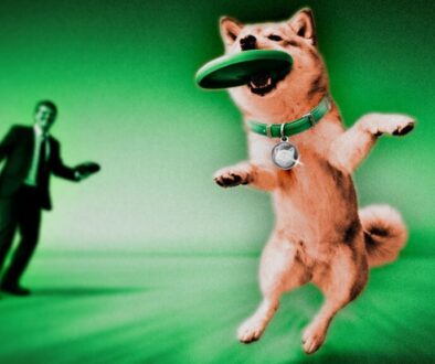 Shiba Inu launches on Solana via Wormhole-backed Sunrise gateway