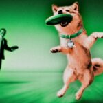 Shiba Inu launches on Solana via Wormhole-backed Sunrise gateway