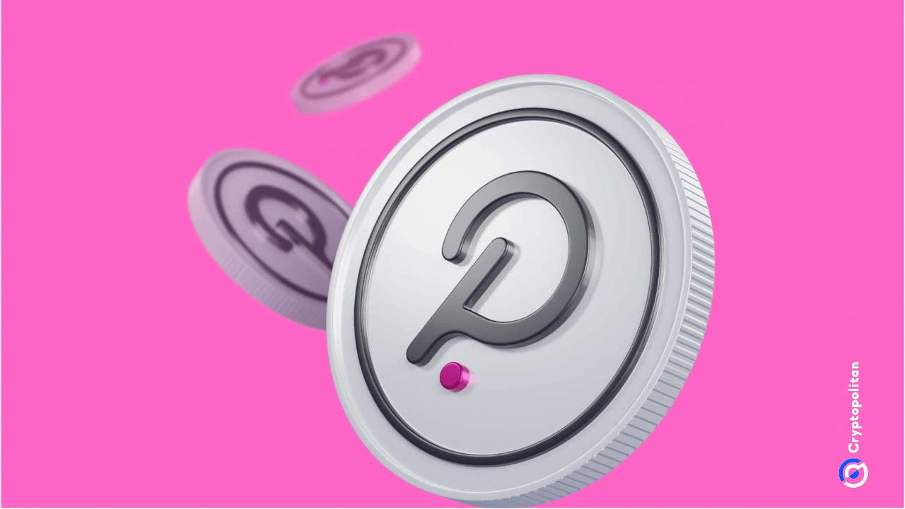 Polkadot’s dotUSD launches backed entirely by Tether’s USDT