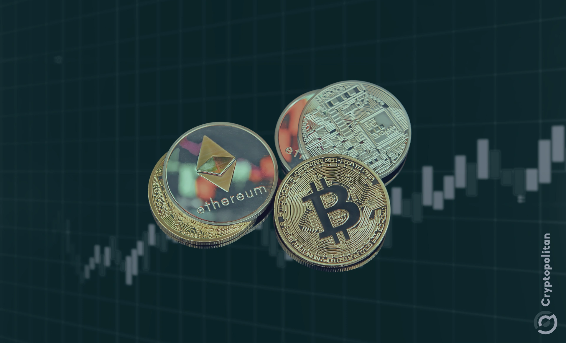 Fidelity’s bitcoin ETF loses 7 million as crypto funds face eight-day exodus