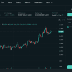 Screenshot of the Hyperliquid web trading interface