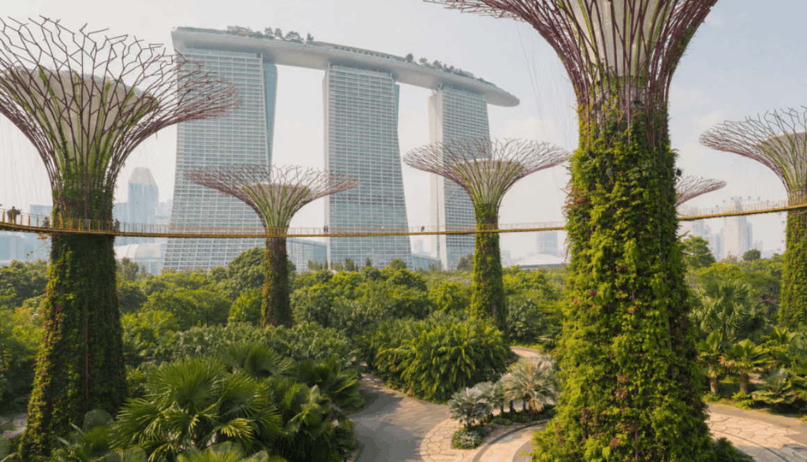 Supertrees at Gardens by the Bay with Marina Bay Sands behind on a hazy October day in Singapore
