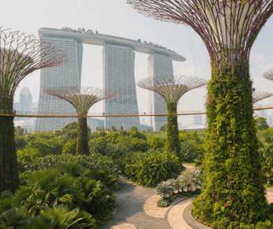 Supertrees at Gardens by the Bay with Marina Bay Sands behind on a hazy October day in Singapore
