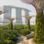Supertrees at Gardens by the Bay with Marina Bay Sands behind on a hazy October day in Singapore